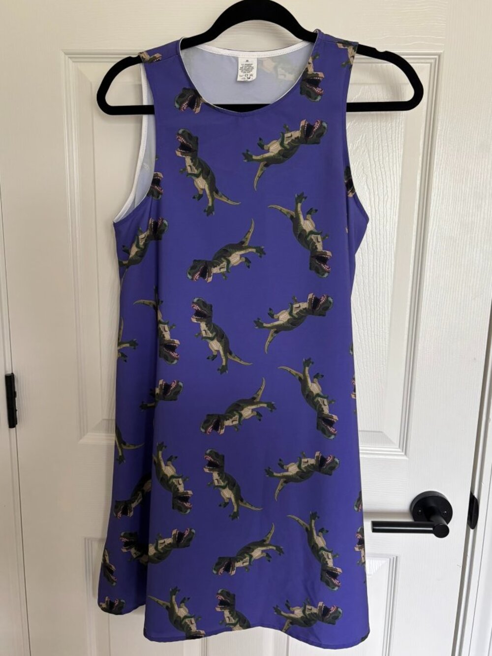 T-Rex Teacher Shift Dress Purple XS Dinosaur Whimsical Amazon Polyester
